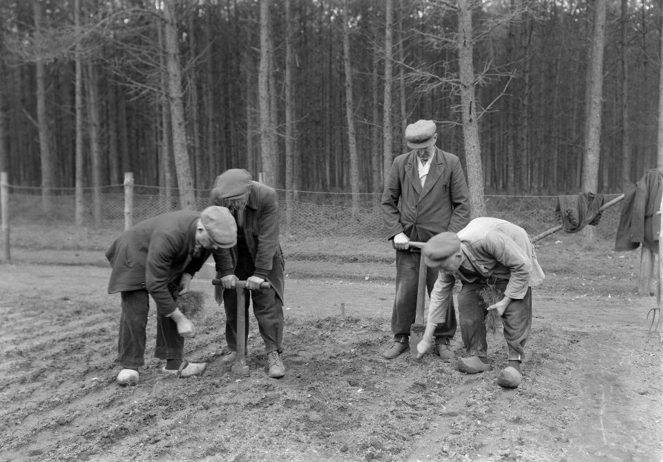Bosaanleg en kwekerij, mannen, verspenen, ij douglas, Bestanddeelnr 165-0368