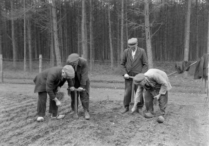 Bosaanleg en kwekerij, mannen, verspenen, ij douglas, Bestanddeelnr 165-0368
