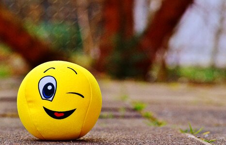 Yellow sweet cute