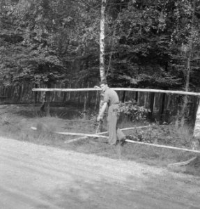 Bosbewerking, mannen, boomstammen, Bestanddeelnr 251-8536