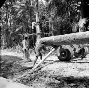 Boslandcreolen bezig met het op een trekker laden van een boom, Bestanddeelnr 252-4825