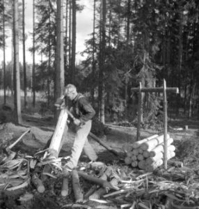 Bosbewerking, arbeiders, gereedschappen, bomen vellen, Bestanddeelnr 251-8616