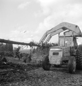 Bosbewerking, landbouwmachines, werktuigen, arbeiders, Tractors, Bestanddeelnr 253-5222