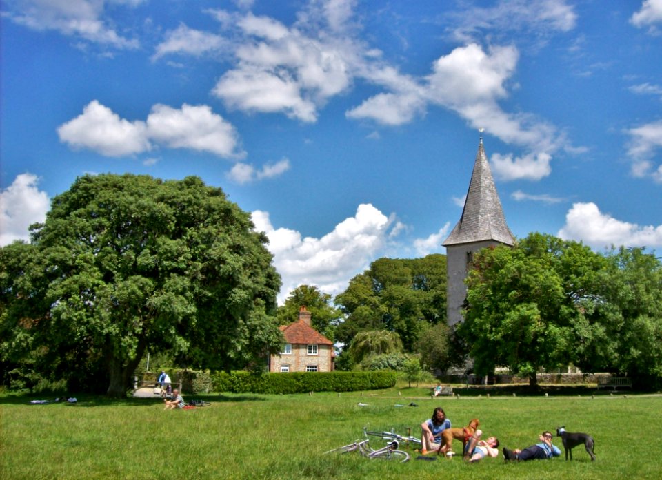 Bosham Quay Meadow