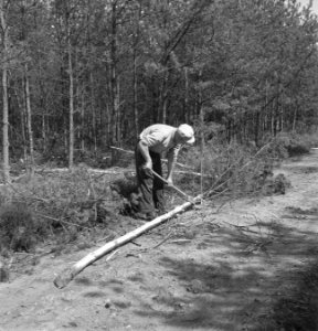 Bosbewerking, arbeiders, gereedschappen, Bestanddeelnr 251-7365