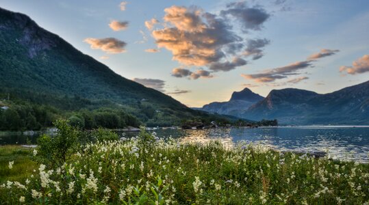 Sunrise summer nature