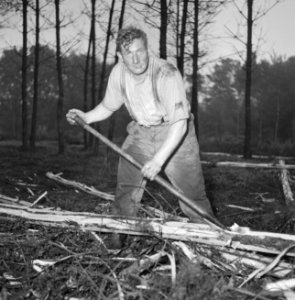 Bosbewerking, arbeiders, boomstammen, gereedschappen, Bestanddeelnr 251-9134