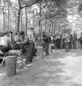 Bosbewerking, arbeiders, boomstammen, werkzaamheden, zagen, Bestanddeelnr 251-8142