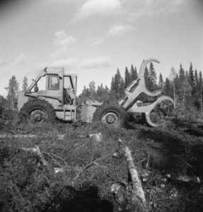 Bosbewerking, arbeiders, boomstammen, machines, werktuigen, grijpers, Bestanddeelnr 253-5313
