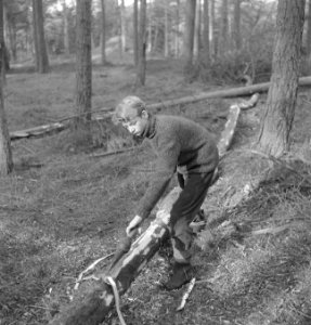 Bosbewerking, arbeiders, gereedschappen, boomstammen, Bestanddeelnr 253-5488