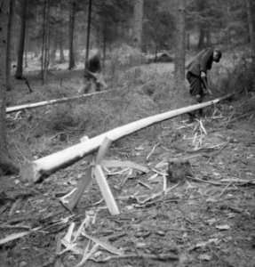 Bosbewerking, arbeiders, boomstammen, houtbewerking, Bestanddeelnr 251-7135