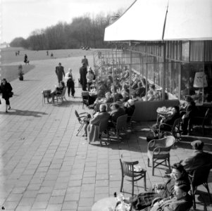 Bosbaanrestaurant vol met zonnende mensen, Bestanddeelnr 909-4101