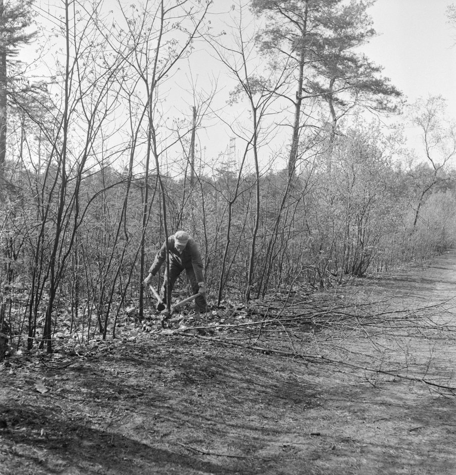 Bosbewerking, arbeiders, gereedschappen, Bestanddeelnr 251-7363