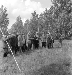 Bosbewerking, arbeiders, gereedschappen, demonstraties, Bestanddeelnr 251-8550