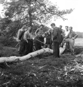 Bosbewerking, arbeiders, gereedschappen, boomstammen, Bestanddeelnr 251-7380