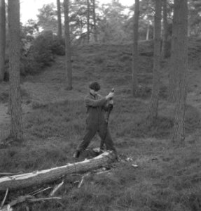 Bosbewerking, arbeiders, gereedschappen, bomen vellen, Bestanddeelnr 253-5481