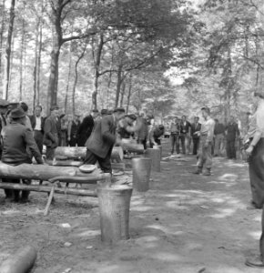 Bosbewerking, arbeiders, boomstammen, werkzaamheden, Bestanddeelnr 251-8143