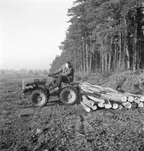 Bosbewerking, arbeiders, boomstammen, landbouwmachines, werktuigen, sleepwerkzaa, Bestanddeelnr 253-4004
