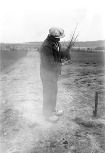 Bosaanleg en kwekerij, mannen, afkanten voet, wortels, berk, Bestanddeelnr 165-0365