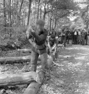 Bosbewerking, arbeiders, boomstammen, werkzaamheden, beilen, Bestanddeelnr 251-8147