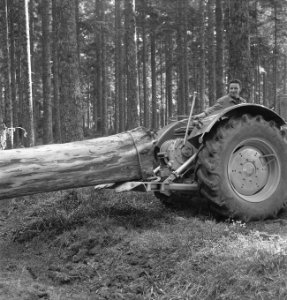 Bosbewerking, landbouwmachines, werktuigen, boomstammen, sleepwerkzaamheden, arb, Bestanddeelnr 253-5110