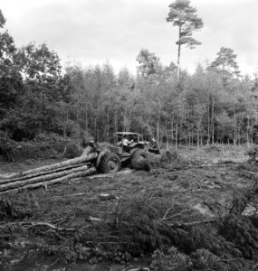 Bosbewerking, landbouwmachines, werktuigen, boomstammen, sleepwerkzaamheden, arb, Bestanddeelnr 253-5918