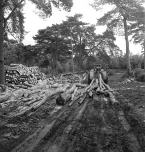 Bosbewerking, landbouwmachines, werktuigen, boomstammen, sleepwerkzaamheden, arb, Bestanddeelnr 253-5923