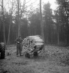 Bosbewerking, arbeiders, boomstammen, karren, vastbinden, Bestanddeelnr 253-5007