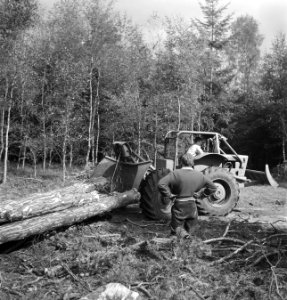 Bosbewerking, landbouwmachines, werktuigen, boomstammen, sleepwerkzaamheden, arb, Bestanddeelnr 253-5921