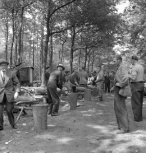 Bosbewerking, arbeiders, boomstammen, werkzaamheden, Bestanddeelnr 251-8145