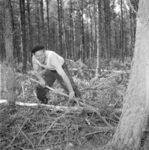 Bosbewerking, arbeiders, gereedschappen, bomen vellen, Bestanddeelnr 251-9457