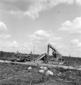 Bosbewerking, machines, werktuigen, boomstammen, werkzaamheden, Bestanddeelnr 253-5837