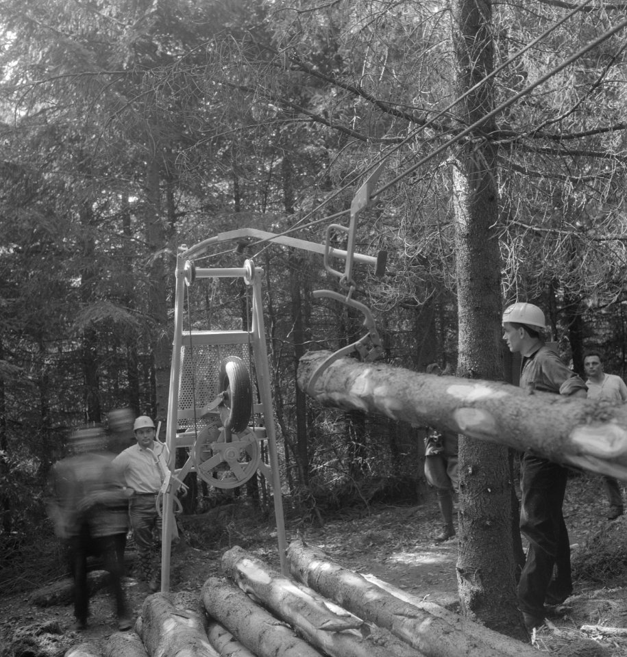 Bosbewerking, machines, werktuigen, boomstammen, arbeiders, haken, hijswerkzaamh, Bestanddeelnr 253-5141