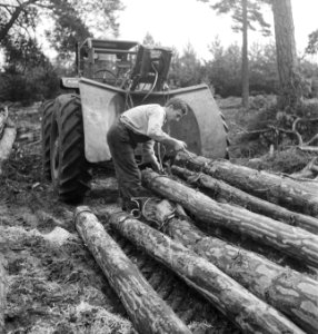 Bosbewerking, landbouwmachines, werktuigen, boomstammen, sleepwerkzaamheden, arb, Bestanddeelnr 253-5926
