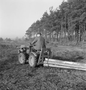 Bosbewerking, arbeiders, boomstammen, landbouwmachines, Tractors, Bestanddeelnr 251-9998