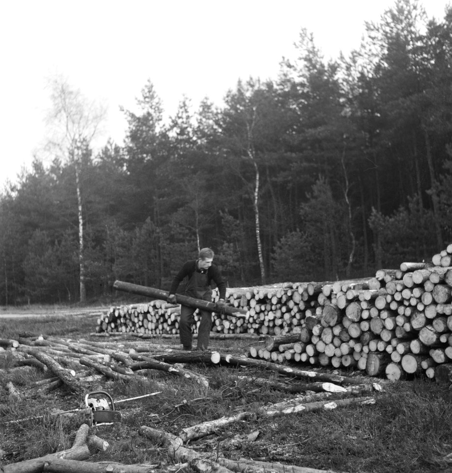 Bosbewerking, arbeiders, boomstammen, werkzaamheden, houtopslag, Bestanddeelnr 253-5983