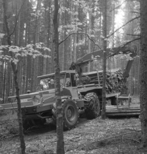 Bosbewerking, machines, werktuigen, boomstammen, takelwagens, laadwerkzaamheden, Bestanddeelnr 253-5137