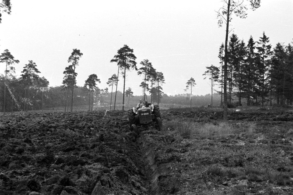 Bosbewerking, machines, werktuigen, arbeiders, Bestanddeelnr 170-0998