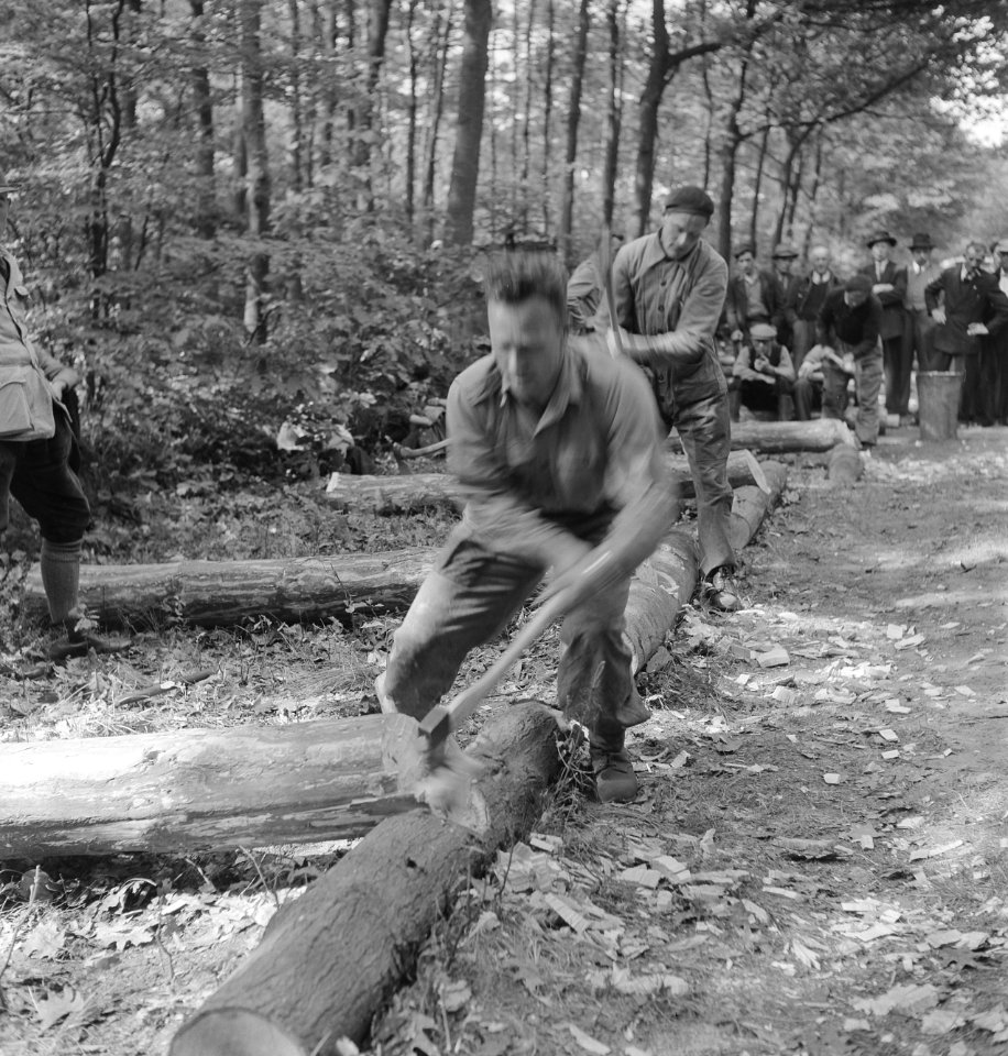 Bosbewerking, arbeiders, boomstammen, werkzaamheden, beilen, Bestanddeelnr 251-8146