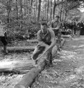 Bosbewerking, arbeiders, boomstammen, werkzaamheden, beilen, Bestanddeelnr 251-8146