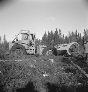 Bosbewerking, arbeiders, boomstammen, machines, werktuigen, grijpers, Bestanddeelnr 253-5312