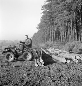 Bosbewerking, arbeiders, boomstammen, landbouwmachines, werktuigen, sleepwerkzaa, Bestanddeelnr 253-4003