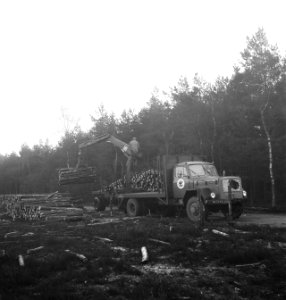 Bosbewerking, arbeiders, boomstammen, takelwagens, laadwerkzaamheden, Bestanddeelnr 253-5995