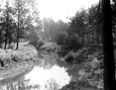 Bosbouw, bos en natuurschoon, Bestanddeelnr 194-0576