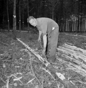 Bosbewerking, arbeiders, boomstammen, gereedschappen, Bestanddeelnr 251-9139