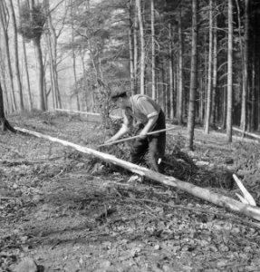 Bosbewerking, arbeiders, gereedschappen, boomstammen, Bestanddeelnr 251-7591