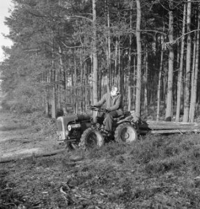 Bosbewerking, arbeiders, boomstammen, landbouwmachines, Tractors, Bestanddeelnr 251-9997