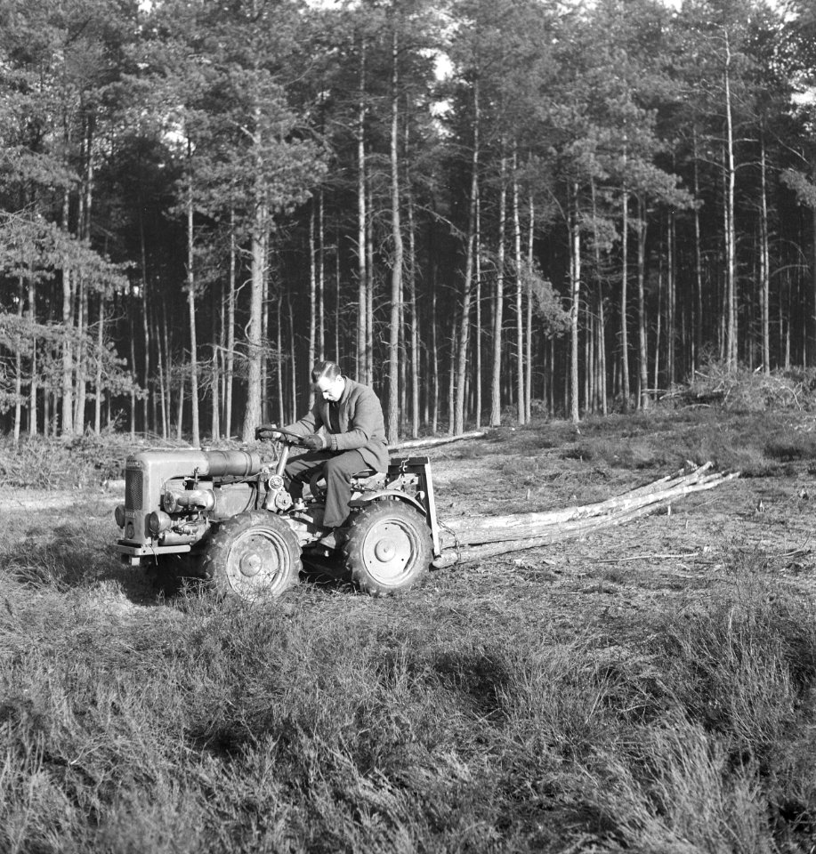 Bosbewerking, arbeiders, boomstammen, landbouwmachines, Tractors, Bestanddeelnr 251-9999