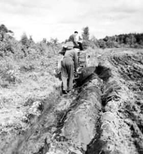 Bosbouw, heide ontginning, grondbewerking, ontwatering, risterploeg, Bestanddeelnr 195-0031