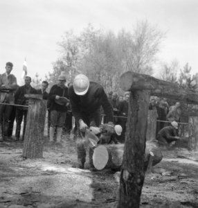 Bosbouw, mannen, kinderen, arbeiders, demonstraties, gereedschappen, Bestanddeelnr 253-5518